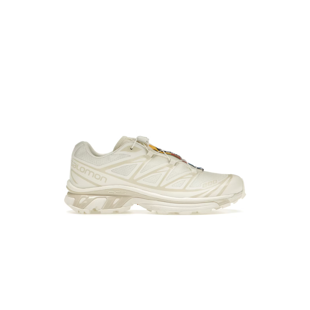 Salomon XT-6 (42)